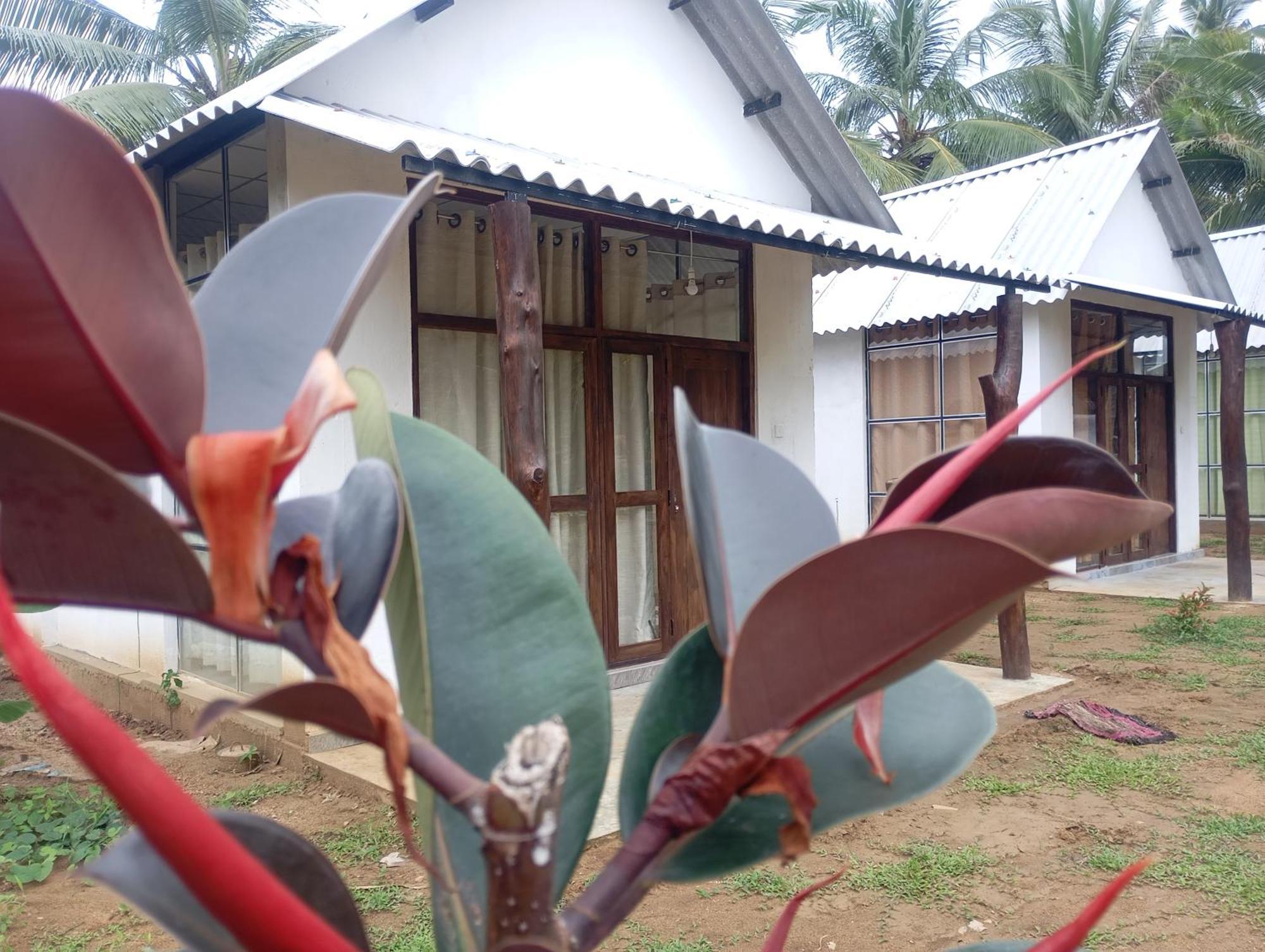 Eagle Safari Cottage Udawalawe Ngoại thất bức ảnh