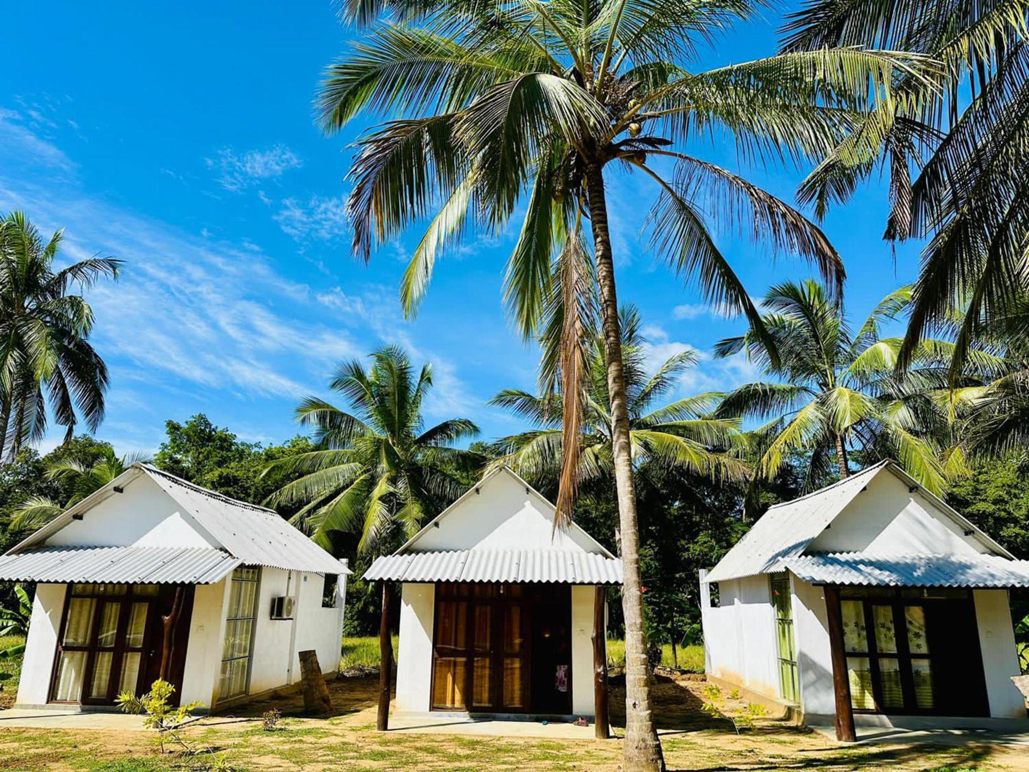 Eagle Safari Cottage Udawalawe Ngoại thất bức ảnh
